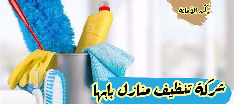 شركة تنظيف منازل بابها - جودة عاليه وخدمات مميزة لشركه بابها 3124 2