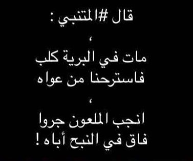 مات في القرية كلبا فاسترحنا من عواه القصيدة كاملة , قصص من واقع الحياة