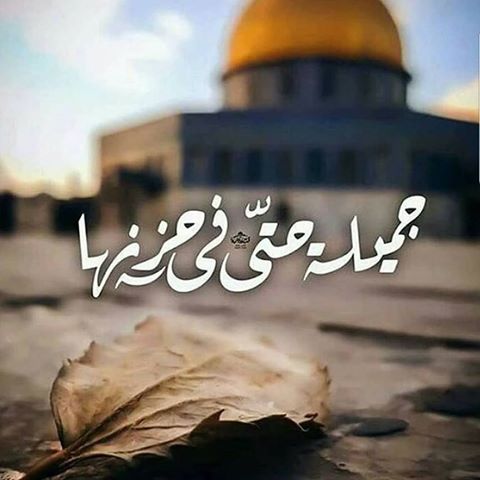 القدس مدينة عربية - صور عن القدس 485 5