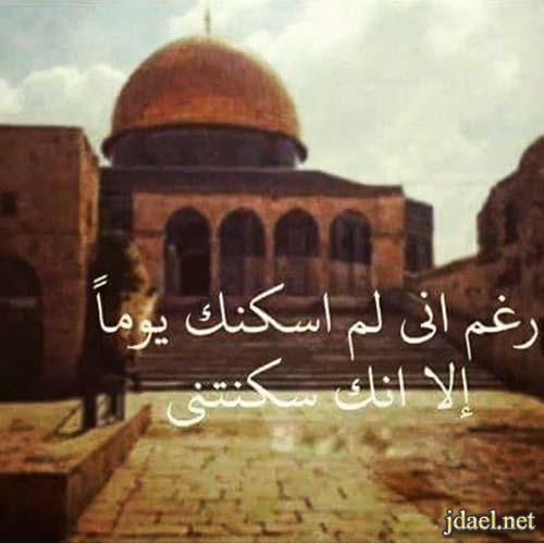 القدس مدينة عربية - صور عن القدس 485 8