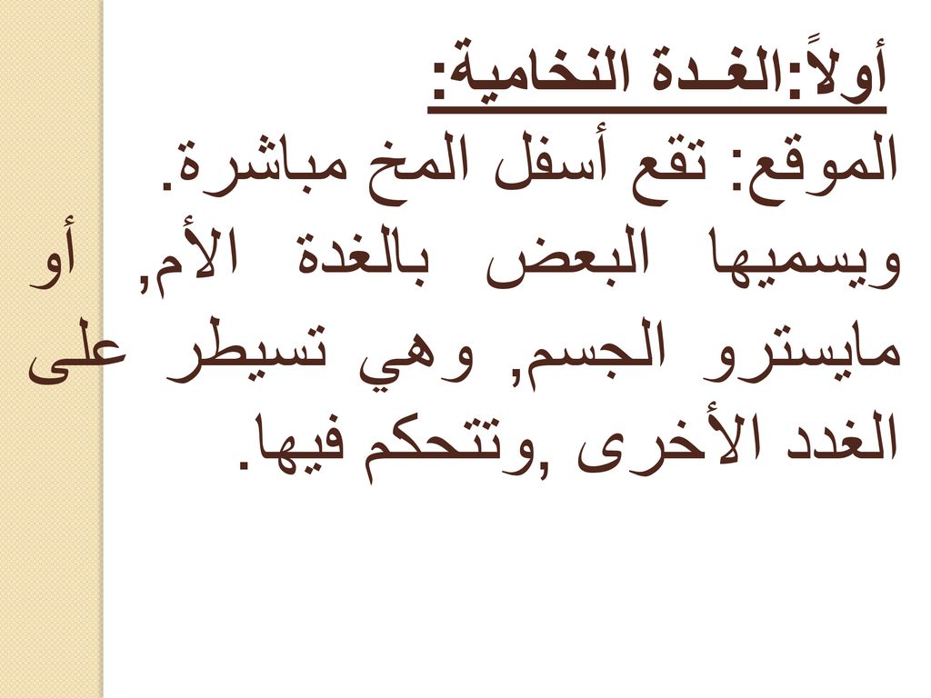 اين توجد الغدة النخامية - موقع الغدة النخامية الذي يجهلها الكثير 1490 5