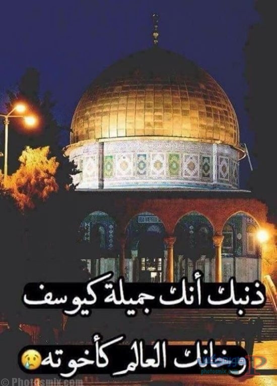 القدس مدينة عربية - صور عن القدس 485 6