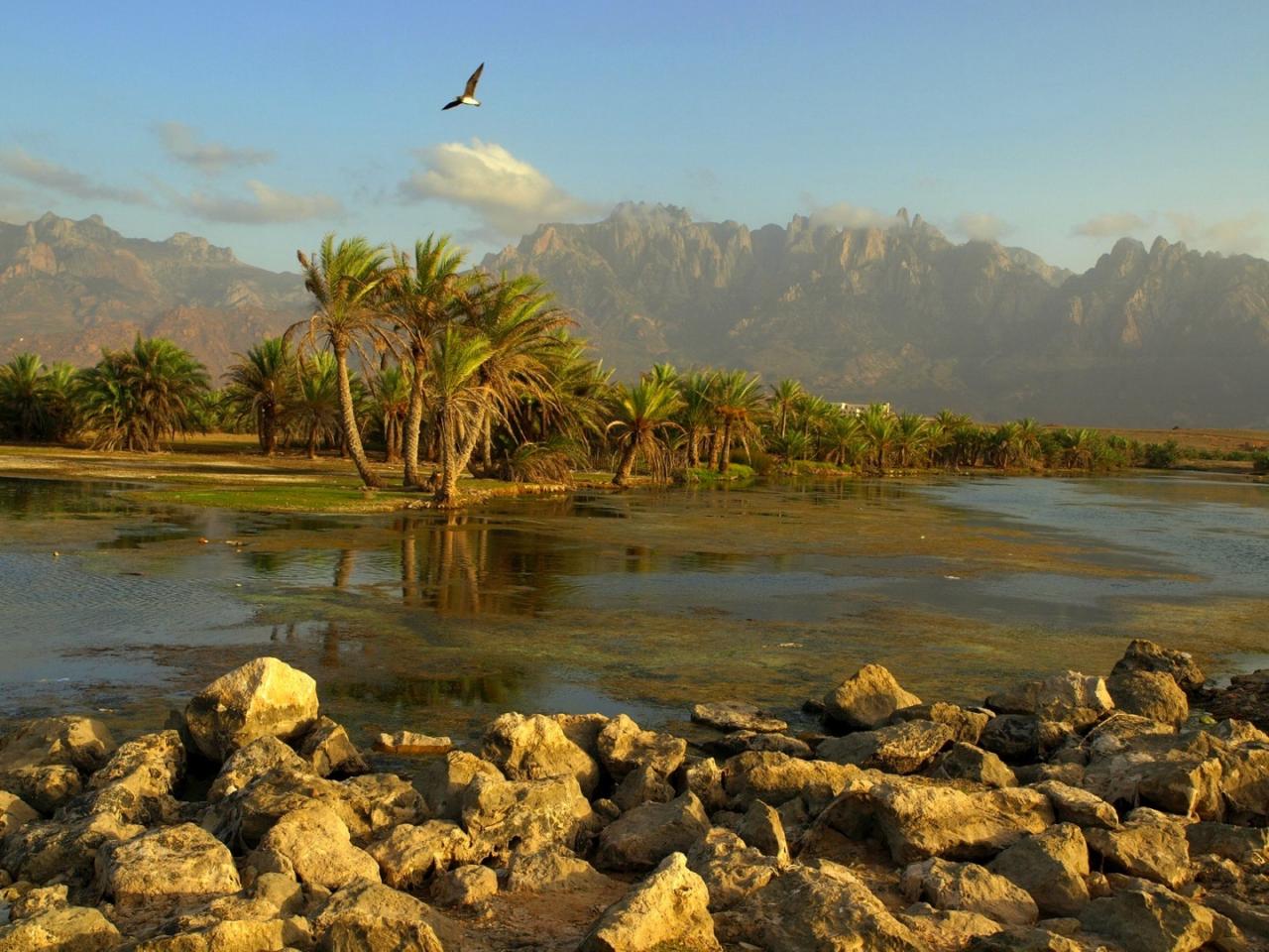 صور عن اليمن - اجمل بلاد العربية اليمن 1054 10