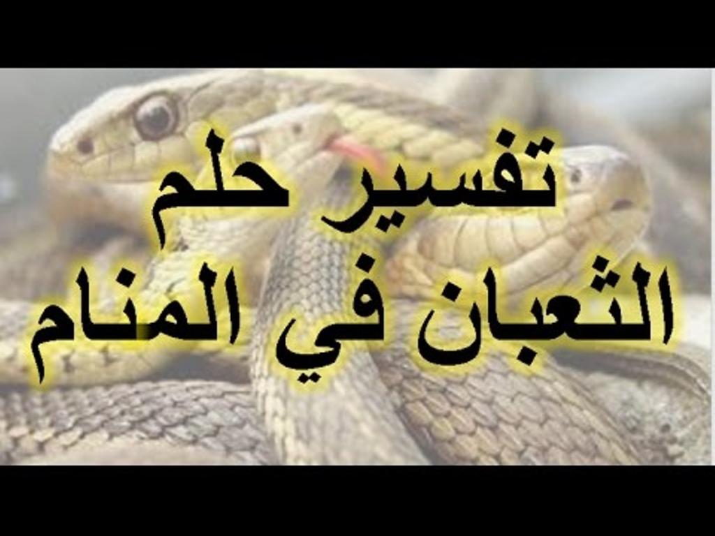 تفسير حلم الافعى الكبيرة - راي مفسرو الاحلام في حلم الافعى 2977 1