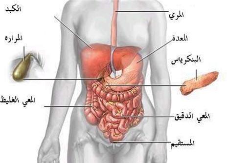 الم اعلى البطن - اسباب الامراض المختلفه و تشخيص الام البطن