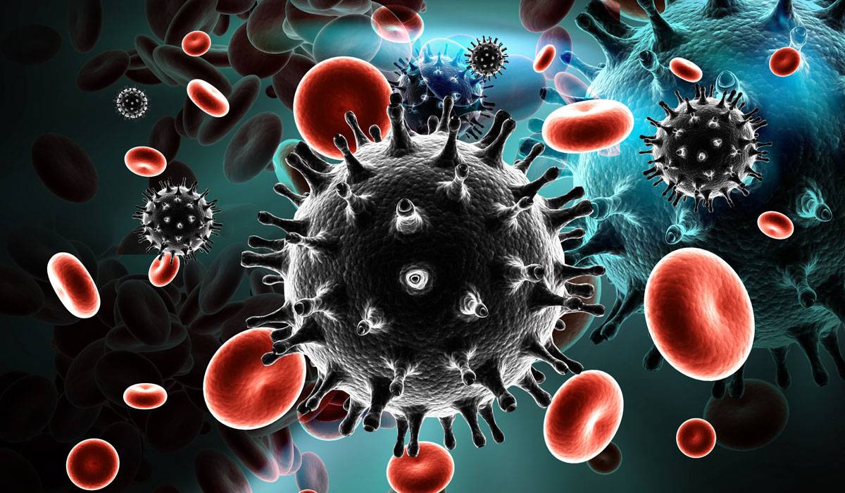 ما هو ال Hiv - معنى تحليل ال Hiv 2260 1