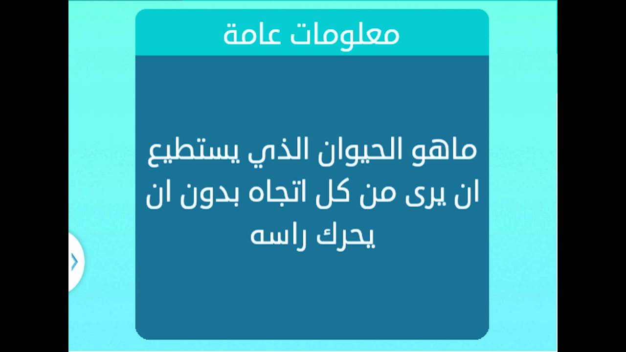 ما هو الحيوان الذي يرى في جميع الاتجاهات - غرائب الحيوانات التي ترى بمنظور 360 درجة