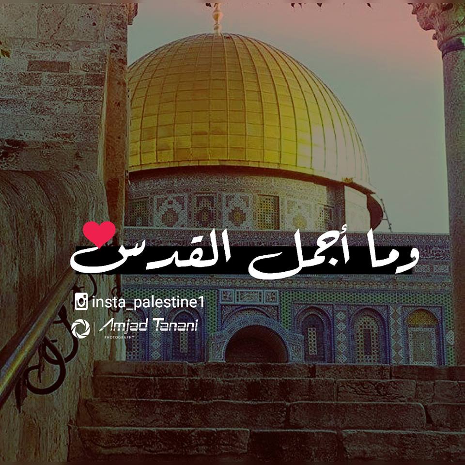 القدس مدينة عربية - صور عن القدس 485 2