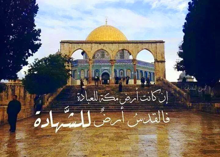 القدس مدينة عربية - صور عن القدس 485 12