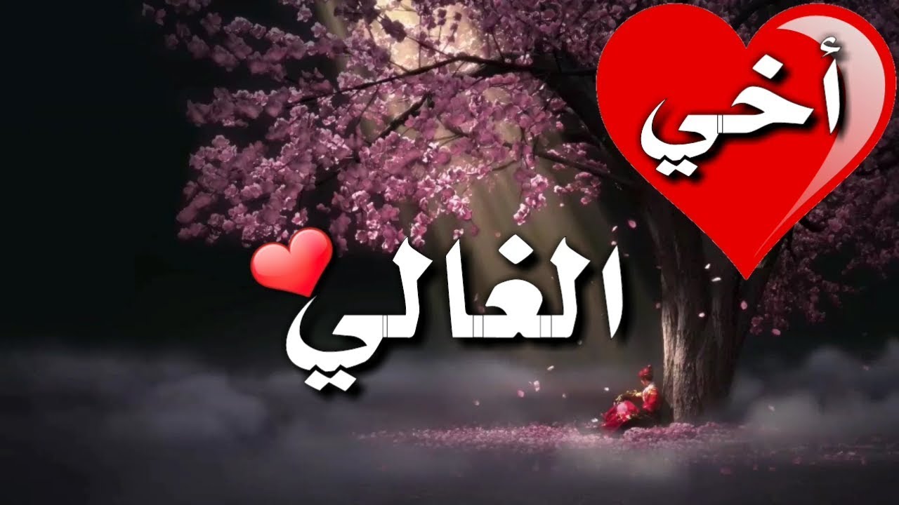 عبارة عن الاخ , اجمل كلمات توصف معني كلمة اخ في حياتنا