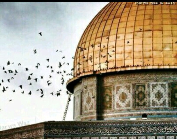 القدس مدينة عربية - صور عن القدس 485 9