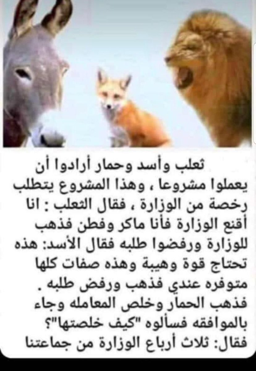 اضحك هنا على اجمل نكته , نكت عن الحمير