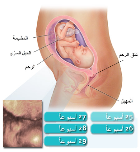 الحمل فى الشهر السادس ماذا يحدث للحامل في الشهر السادس