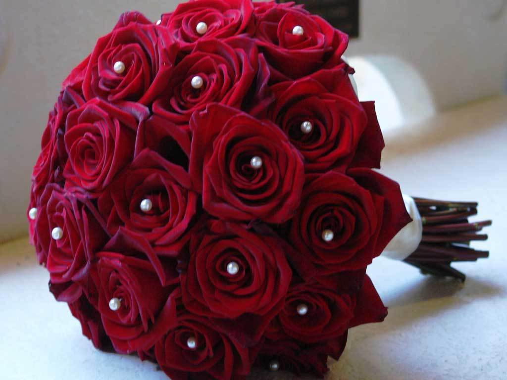 اجمل ورد احمر جمال الورود و اروع انواع الورد الاحمر طقطقه