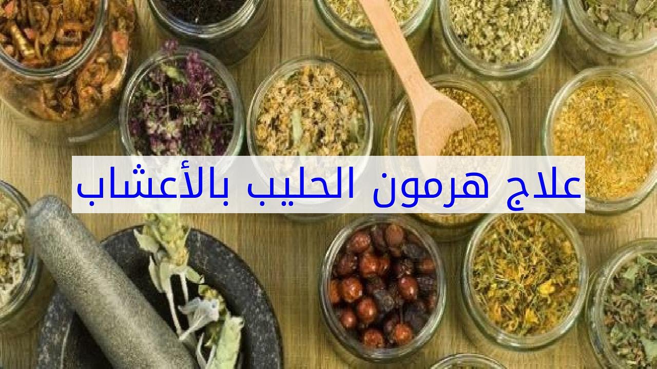 علاج هرمون الحليب بالاعشاب , اكثر الاعشاب التي تفيد في علاج هرمون الحليب